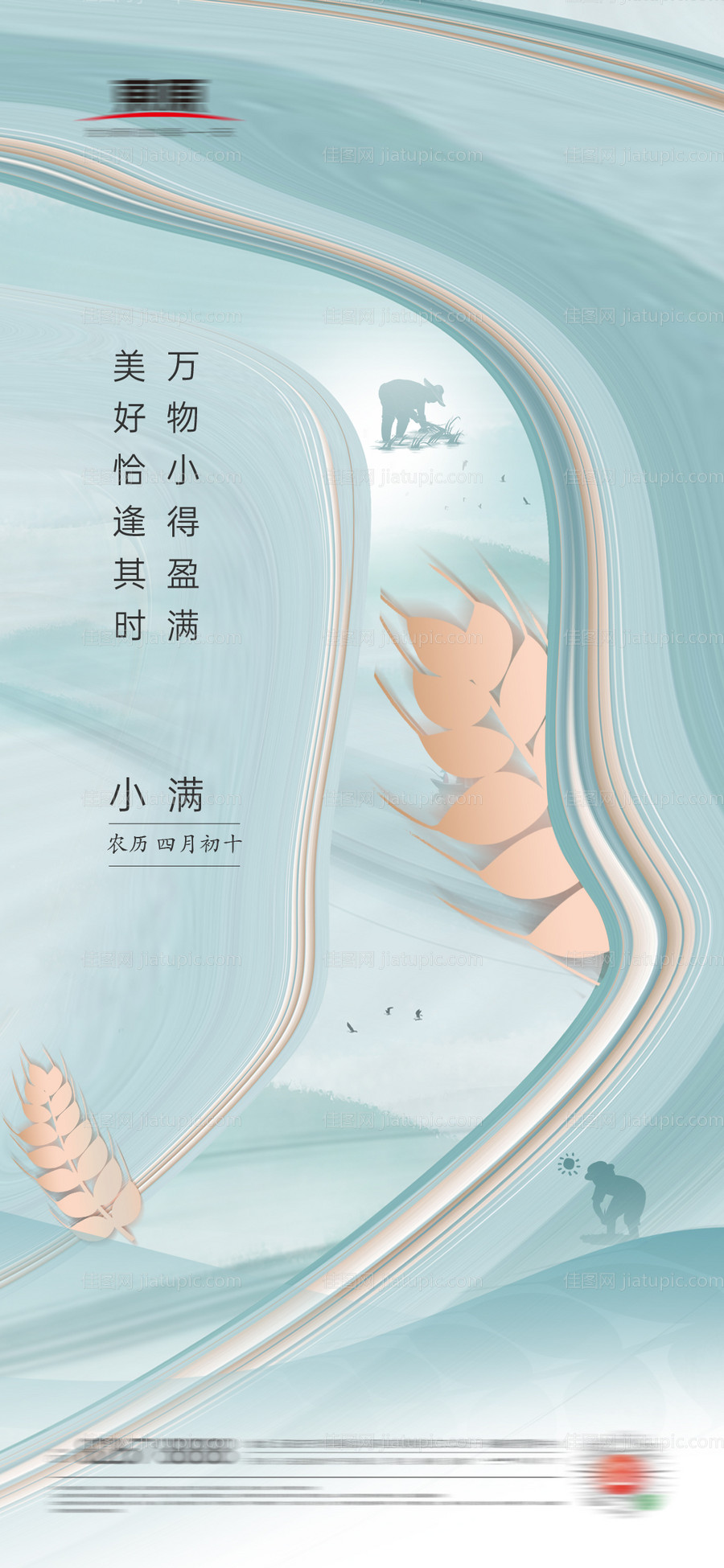 小满节气海报-源文件