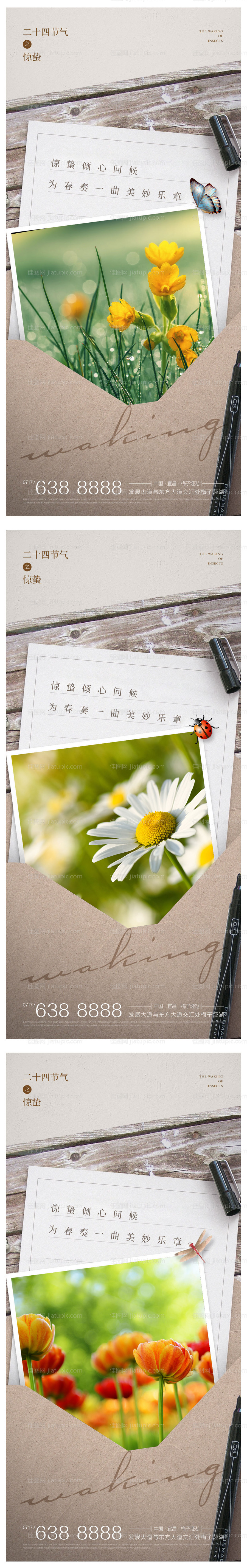 二十四节气惊蛰书信昆虫春意海报-源文件