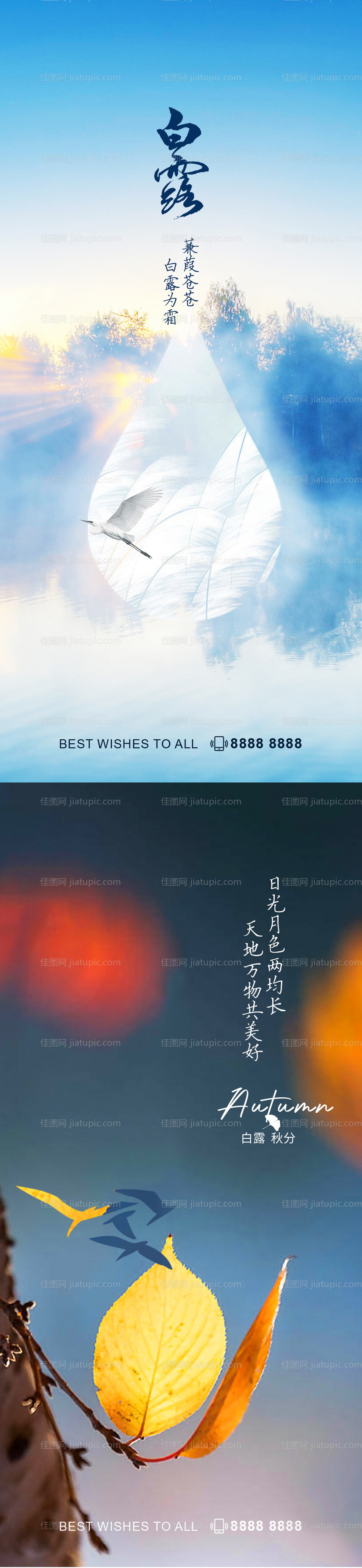 白露秋分节气海报-源文件